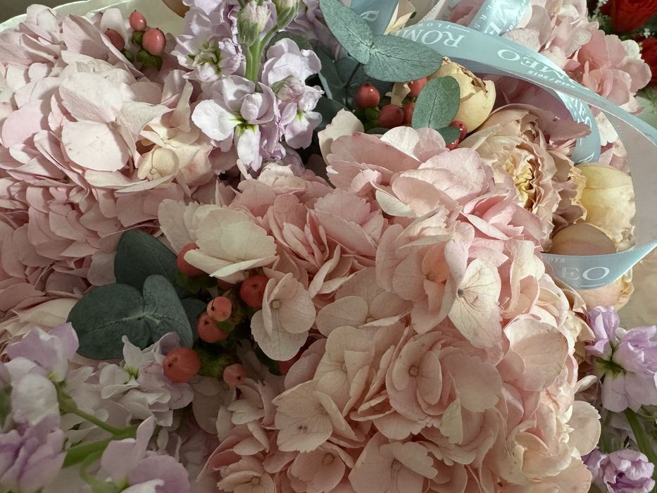 Цветы свежие , бутоны еще не раскрыты