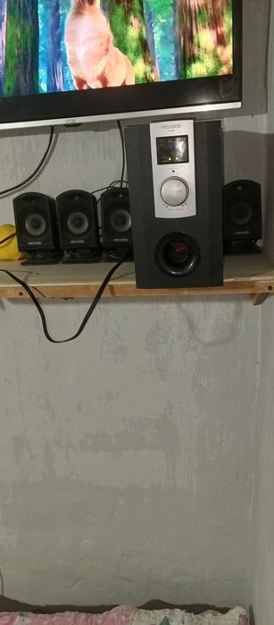 Sambufer kalonka sotiladi