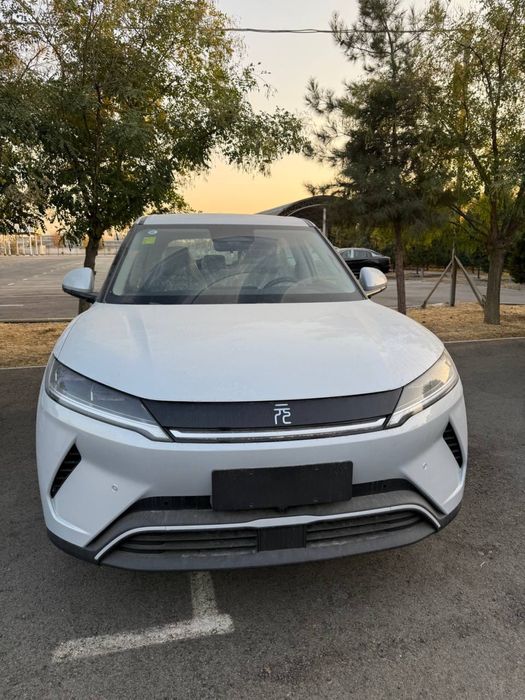 bivaydi yuan ap smart