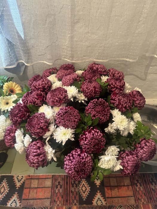 Цветы хризантема за 20 000