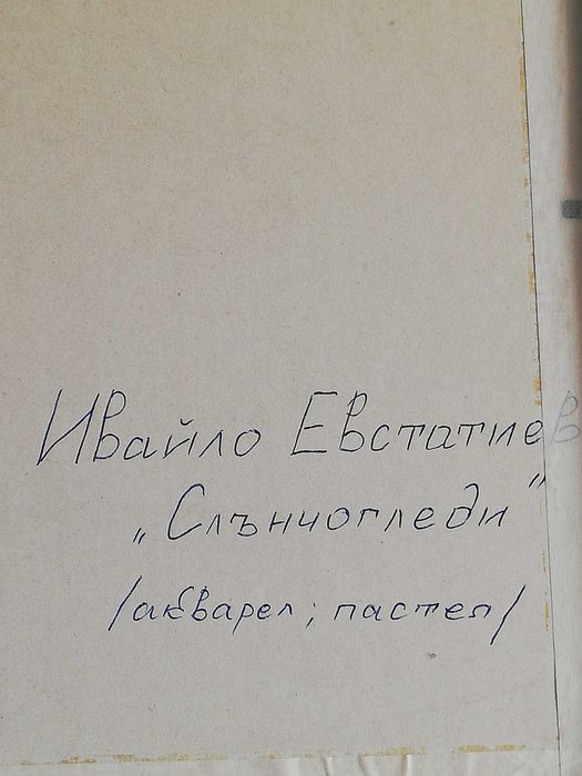 Ивайло Евстатиев-Слънчогледи