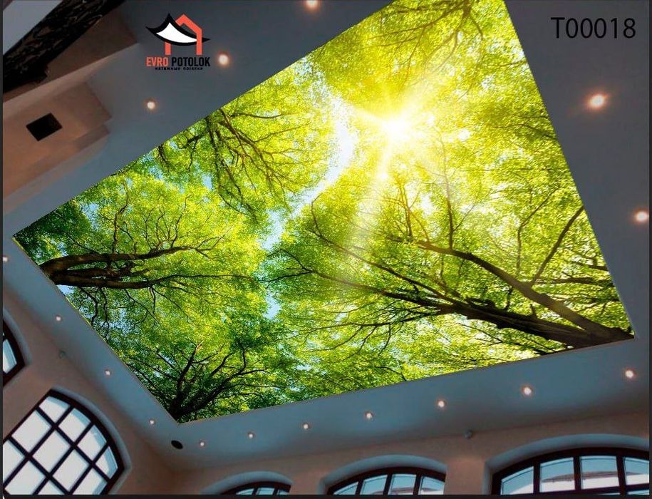 Натяжной патологии ( Natyajnoy patalok)