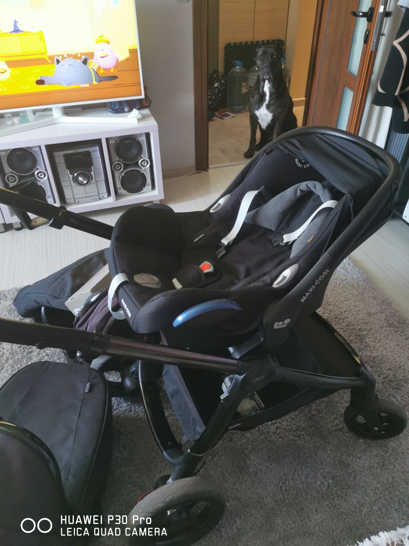 Кошница за кола 0-13кг.  maxi cosi isofix