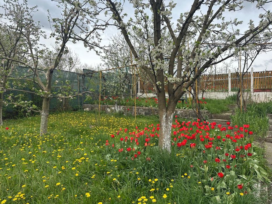 Vând casă cu grădină în Turda
