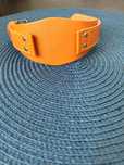 Curea Ceas Fossil Coachman CH2891