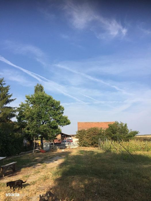 De Vanzare – Ferma de Pomi Fructiferi, 48,8 ha, Iancu Jianu, Jud. Olt