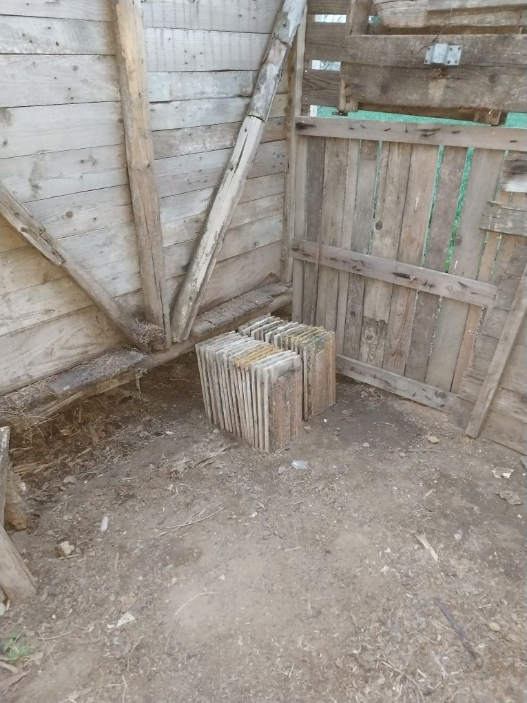 Țiglă ceramica intrega ,fără spărturi.