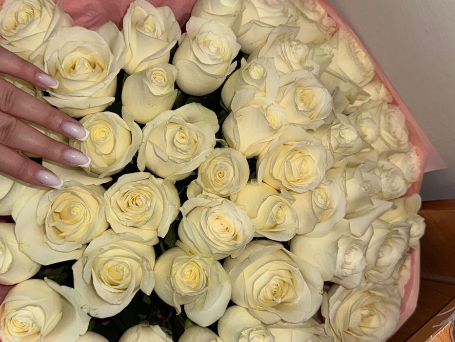 Продаю букет из 51 белой розы