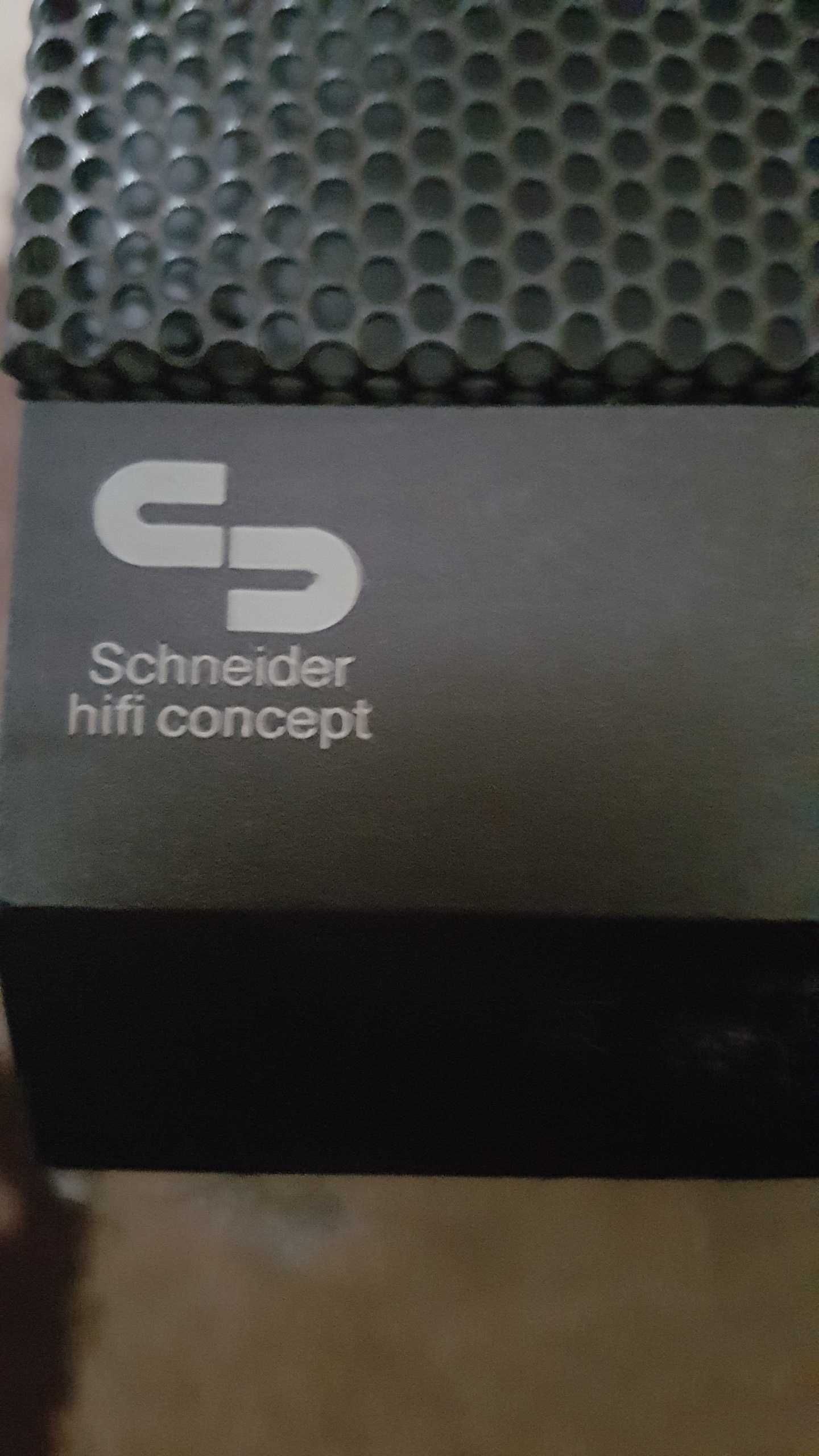 BOXE Schneider Germania 70W schimb