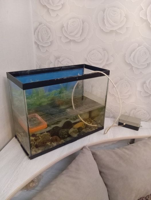 Продам аквариум в комплекте