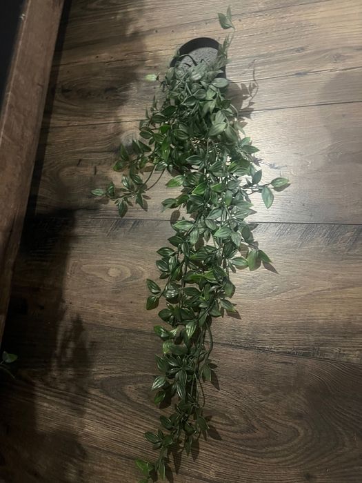 Изкуствени растения