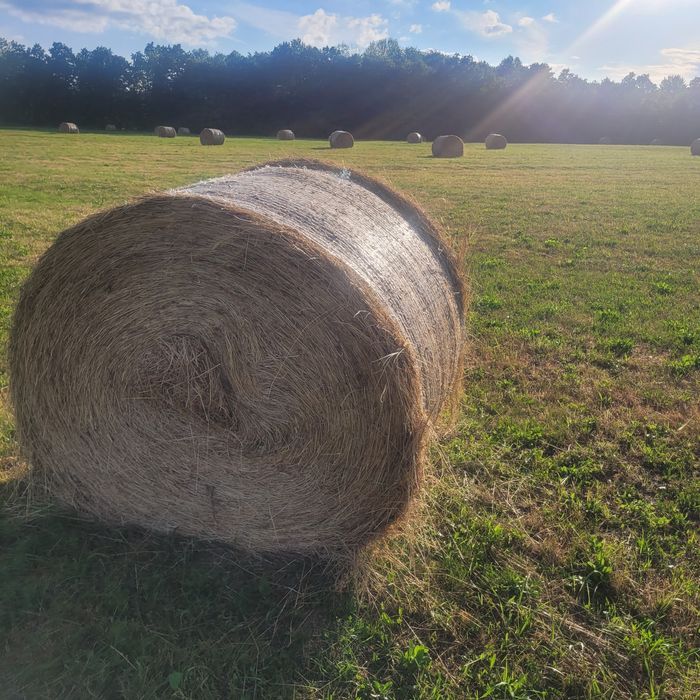 Baloti de fân rotunzi
