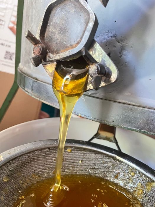 Miere polifloră Bacău