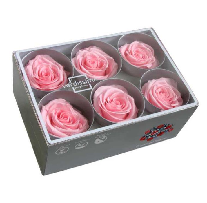 Cutie cu 6 Trandafiri Criogenați Roz Pastel – Cadoul etern!
