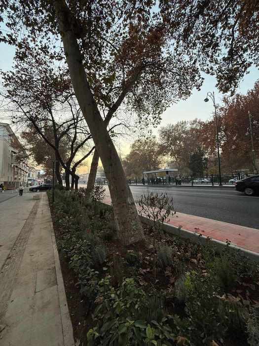 Продается нежилое помещение, ориентир: Di Sport, 1 этаж, 123 м²