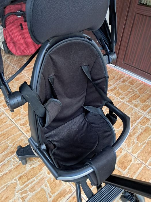 Carut ursuleț sport