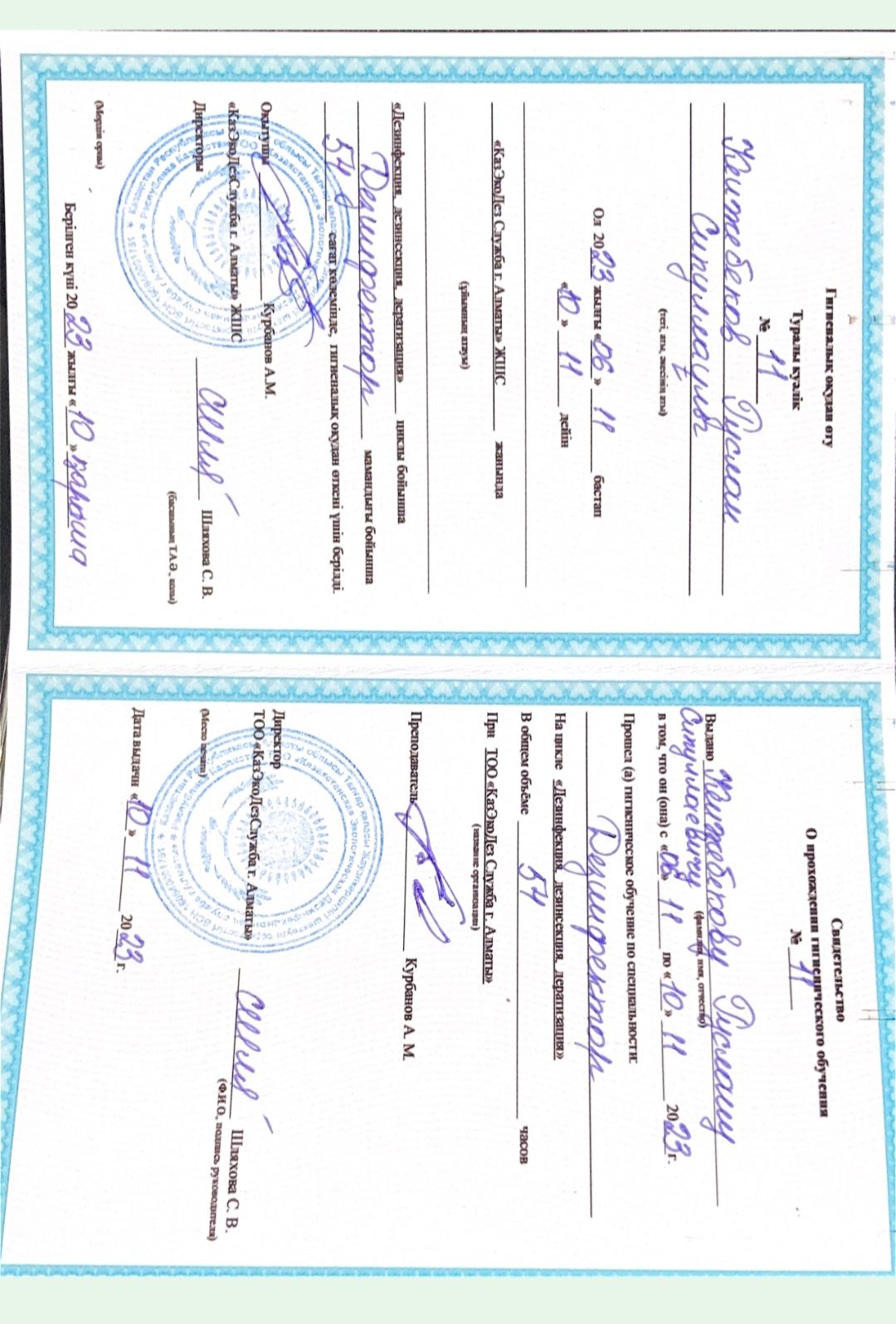 Дезинфекция . Уничтожение  клопов, тараканов, мышей и крыс