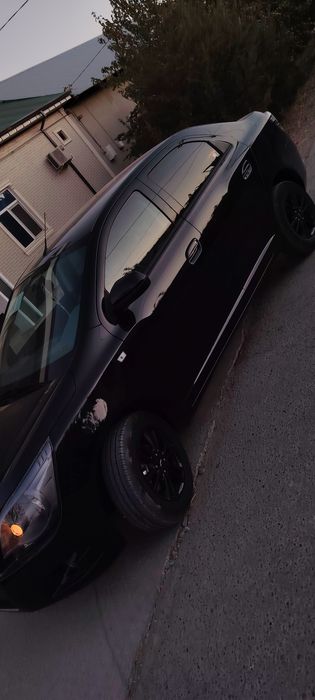 Kobalt midnayt schot spravka maslaaa