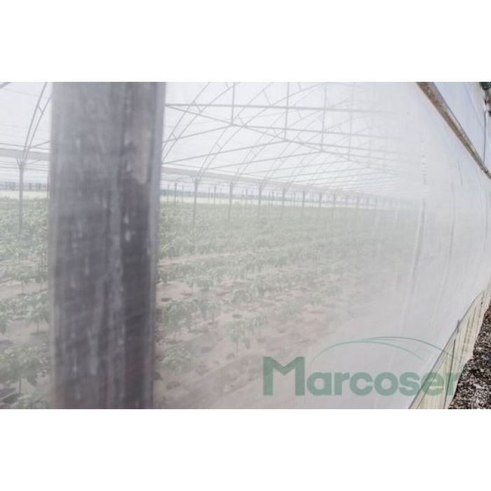 Plasa antiinsecte