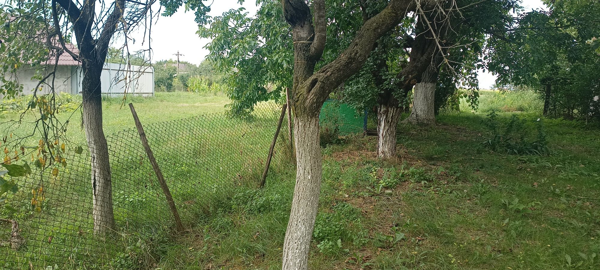 Casă cu teren de vanzare