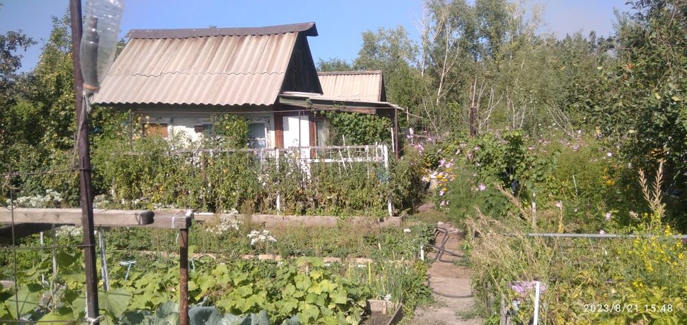 Дача недвижимость