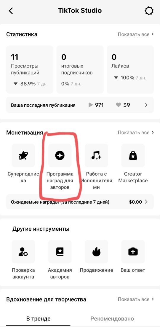 Создам аккаунты TIK TOK с монетизации.
