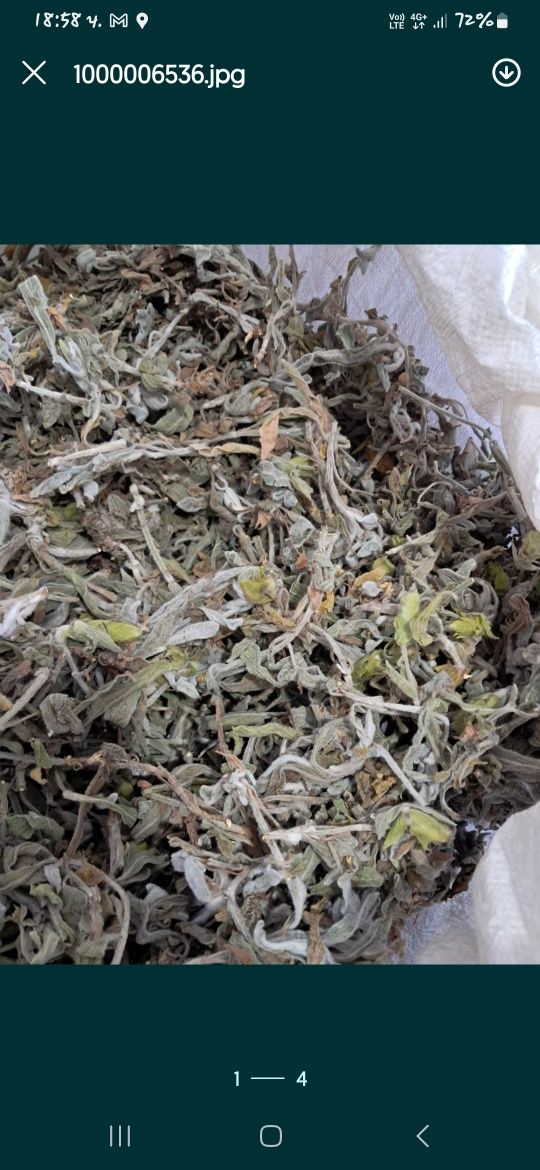 Мурсалски чай изрезки