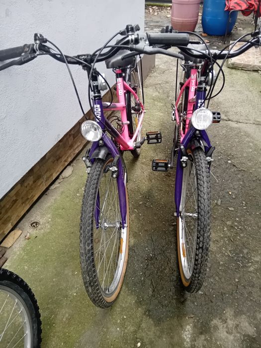 Doua biciclete gemene