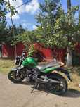 Benelli bn 302 2016