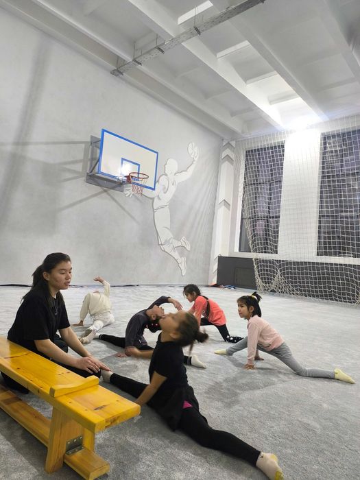 Кавер для гимнастики