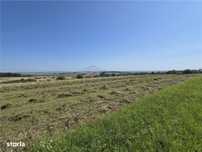 Teren intravilan, Ilisesti, T-7619