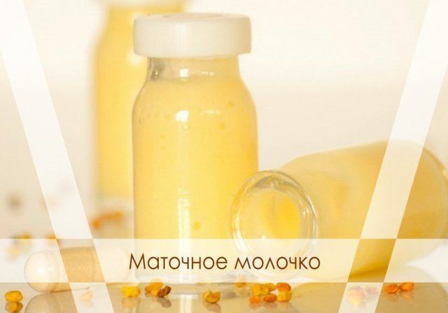 Маточное молочко цветочная пыльца мёд