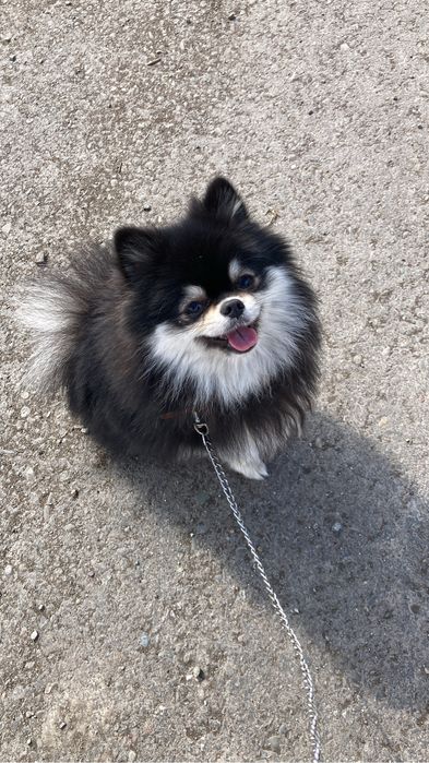 Ищим мальчика для вязки