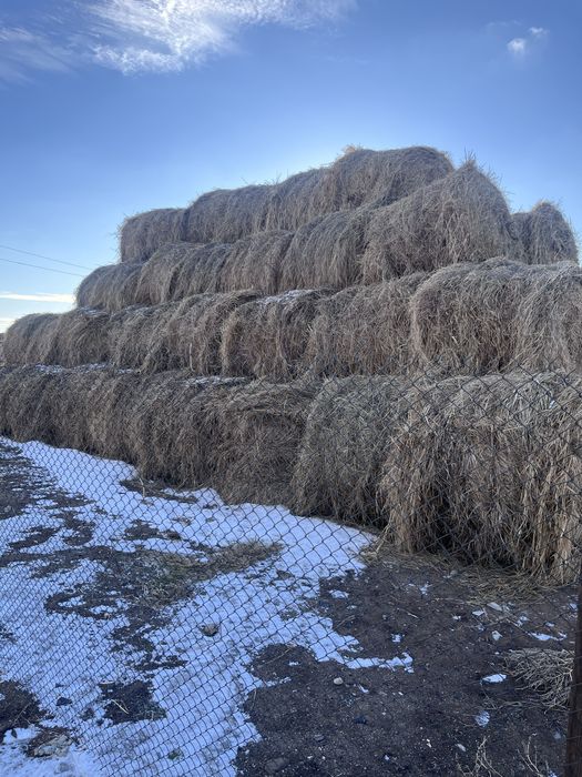 Сено луговое в рулонах