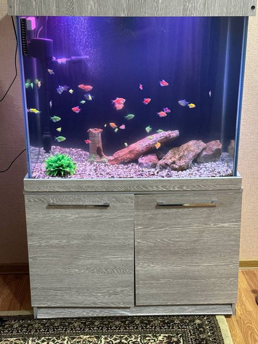 Akvarium sotiladi 250 litr
