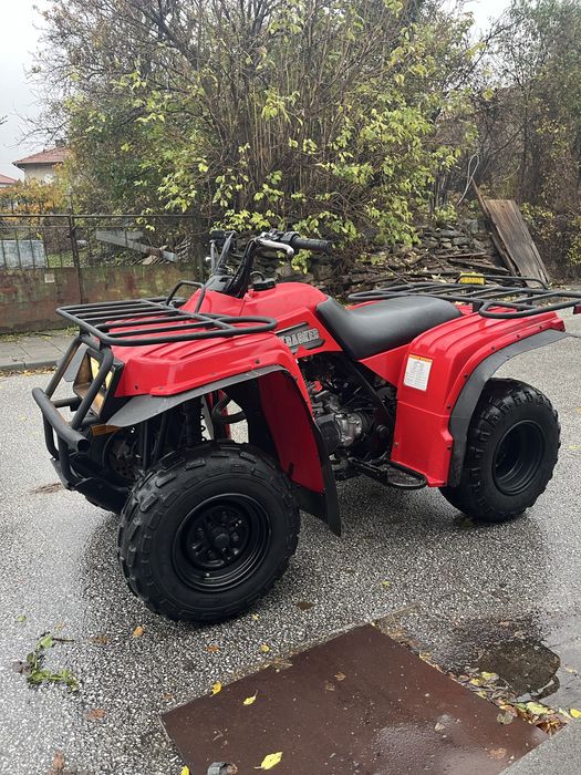Yamaha Bear tracker 2x4