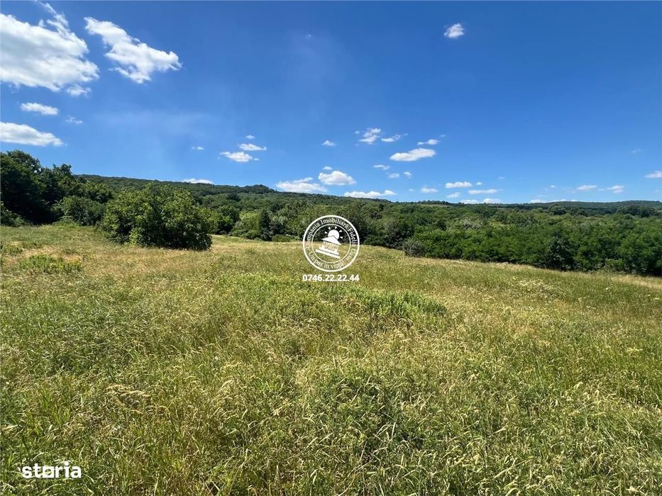 Teren de vanzare Tomesti Goruni  17.475 mp langa padure doar 7 euro mp