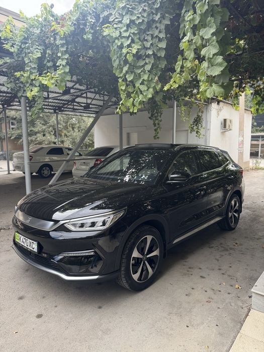 Byd Song pulus Flekship 505 Tali