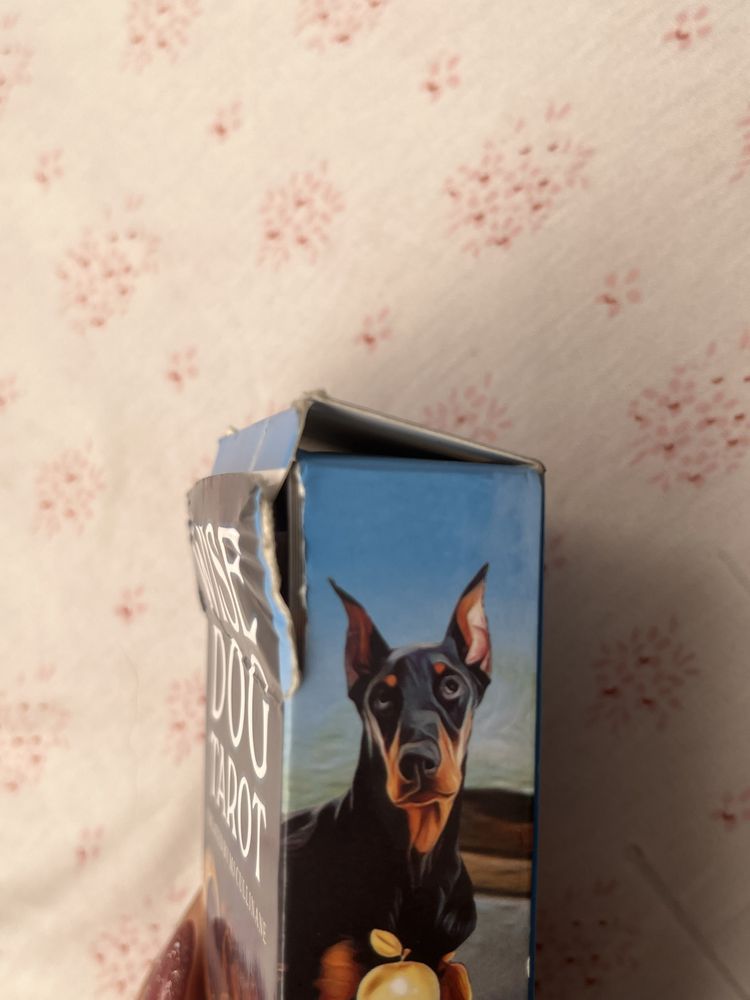 Wise dog tarot, таро карти