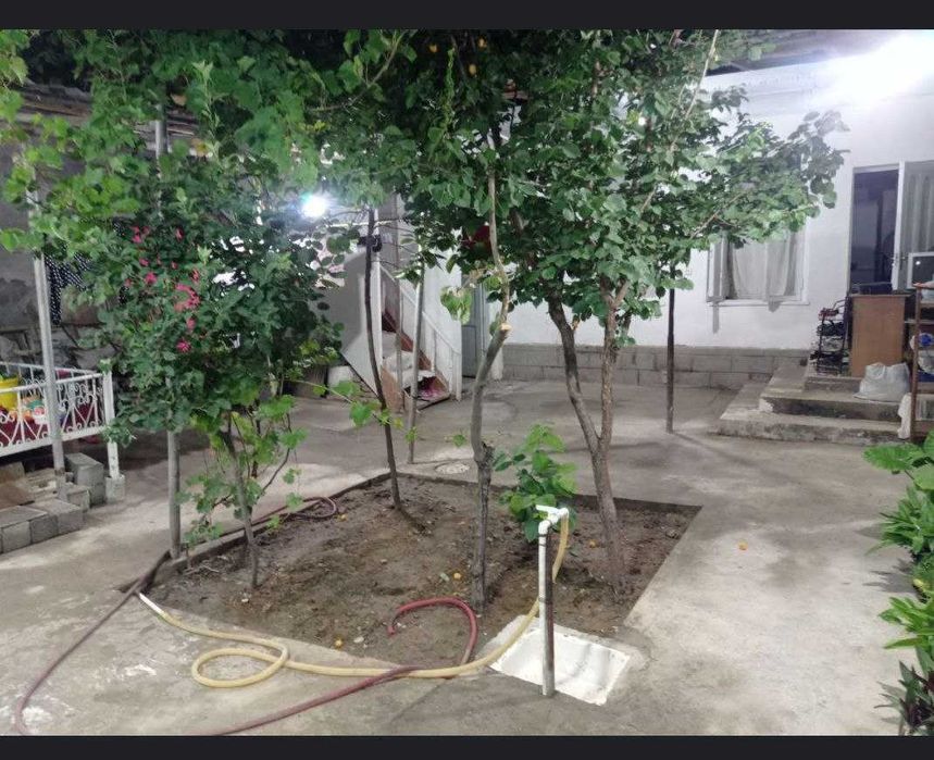 Без маклер Ижара, Аренда Чилонзор 5 хона ховли Новза, Халклар дустлиги