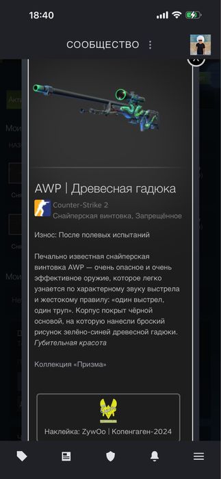 Cs2/ КС2/ скин на AWP (древесная гадюка)