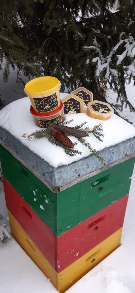 Натуральный мёд с Восточного Казахстана