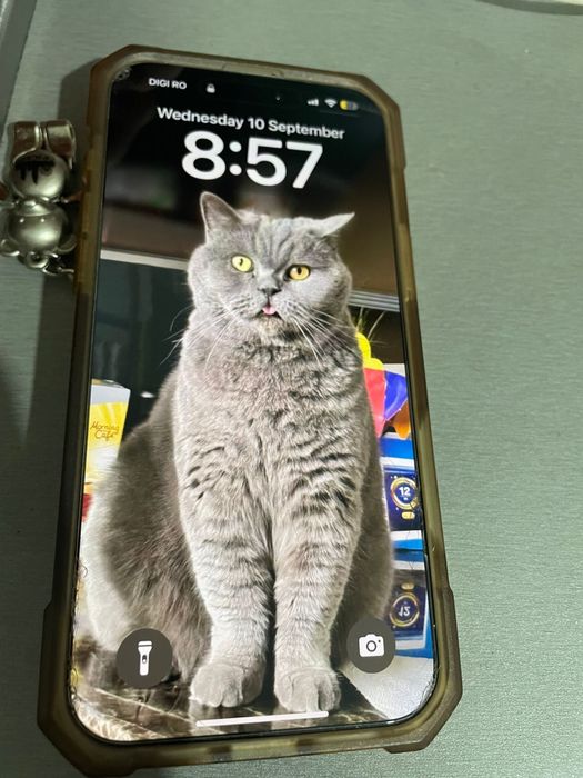 Vand Iphone 16 pro max,white,256gb,capacitatea bateriei 99:%