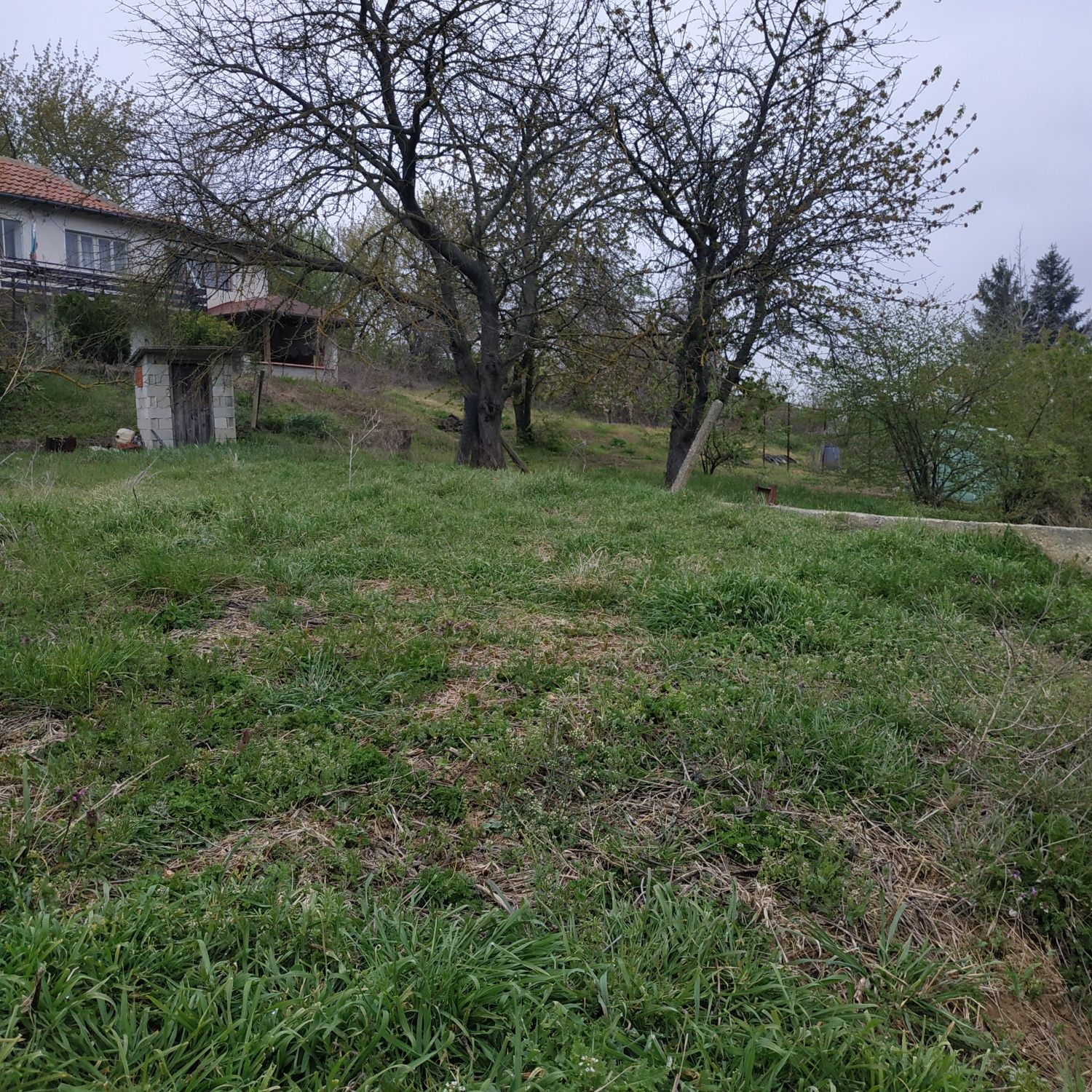 Дворно място с. Староселец собственик парцел