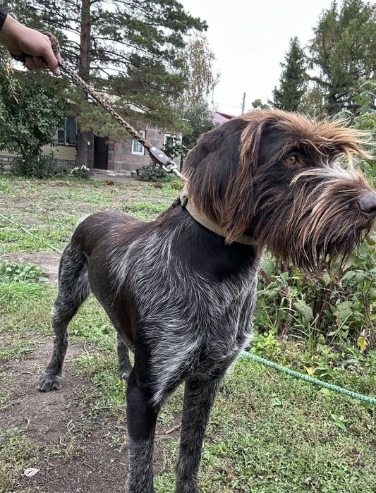 Дратхар сатылады рабочи