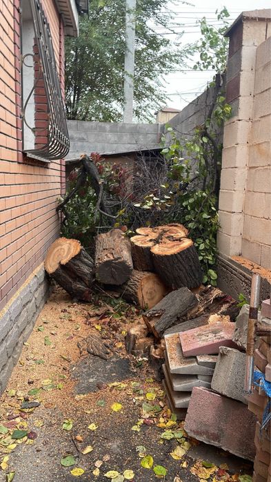 Отдам дрова