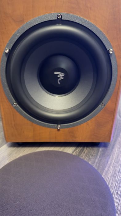 Focal 10 inch subwoofer