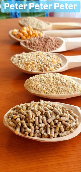 Brizura / granule / Faina pentru pui