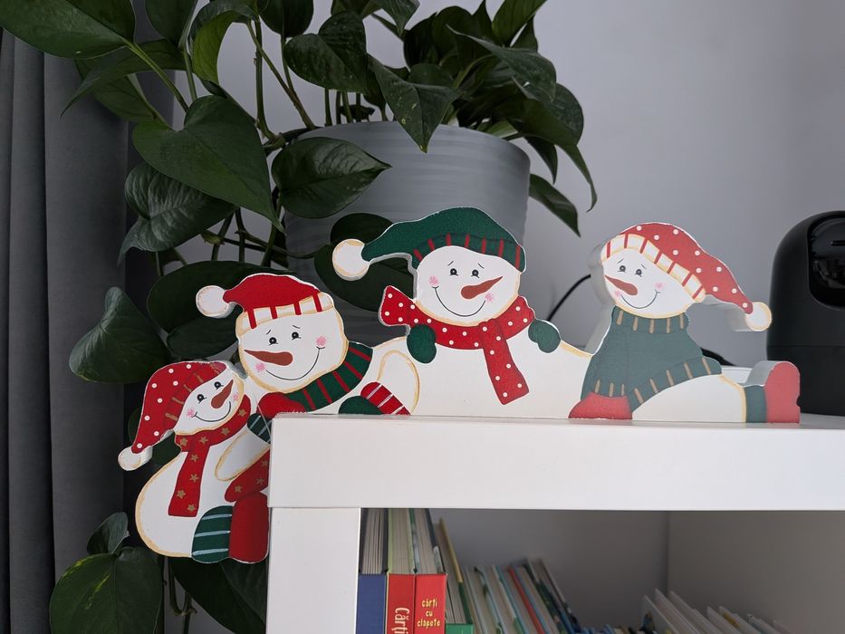 Vand decoratiune Craciun