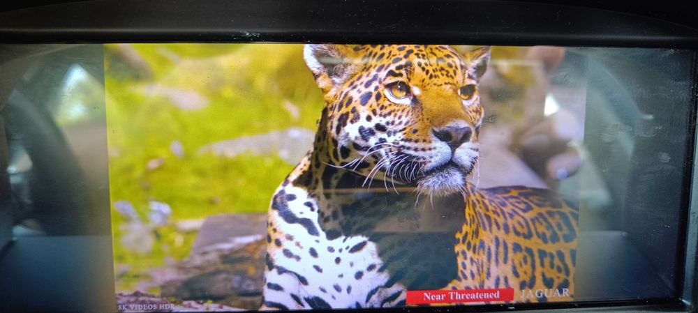 Vând BMW 525, iunie 2005, 2495 cmc, 178 cp